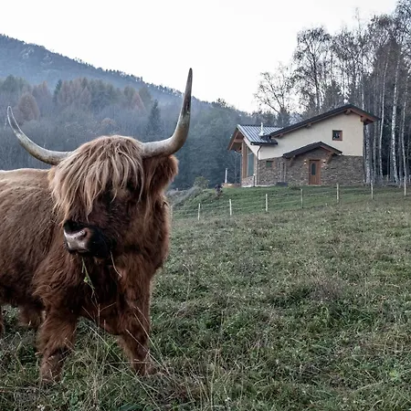 Agricamping La Meyra