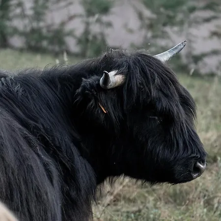 Campingplads Agricamping La Meyra Rossana