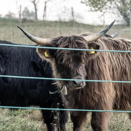 Agricamping La Meyra *