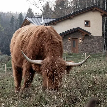 Agricamping La Meyra *