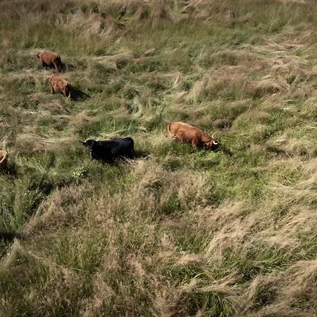 캠프장 Agricamping La Meyra Rossana