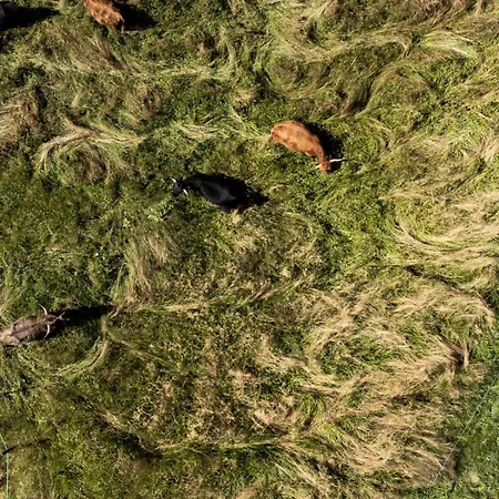 캠프장 Agricamping La Meyra *