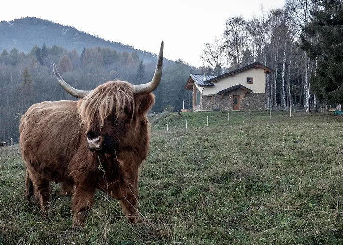 Agricamping La Meyra