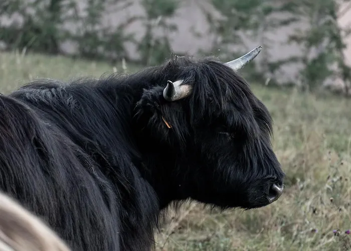 Campingplads Agricamping La Meyra Rossana