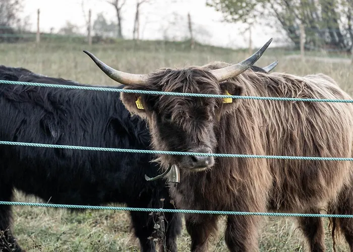 Agricamping La Meyra *