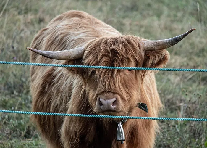 Agricamping La Meyra Campingplads